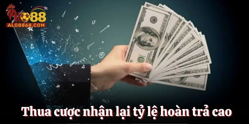 Thua cược nhận lại tỷ lệ hoàn trả cao