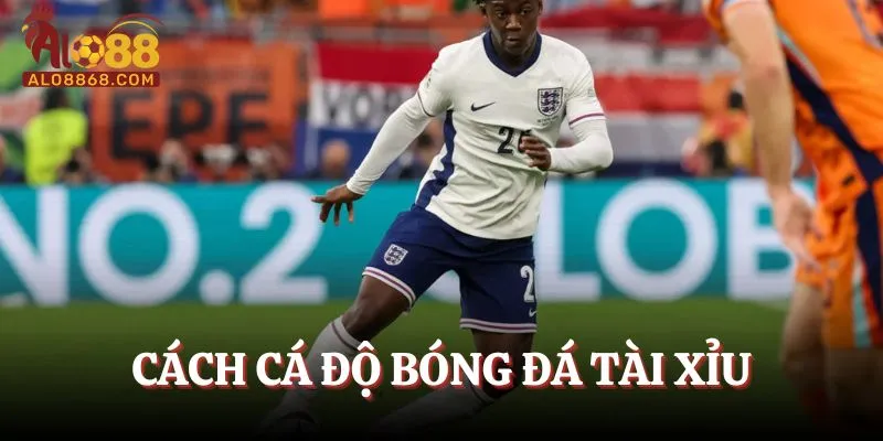 Cách Cá Độ Bóng Đá Tài Xỉu