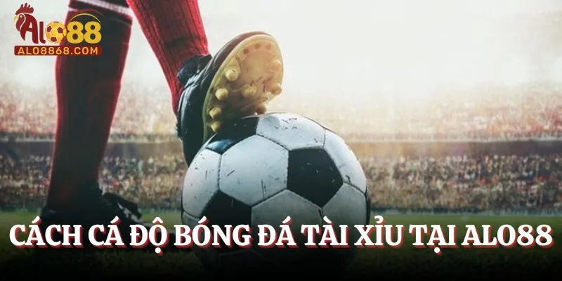 Cách cá độ bóng đá tài xỉu trên hệ thống Alo88